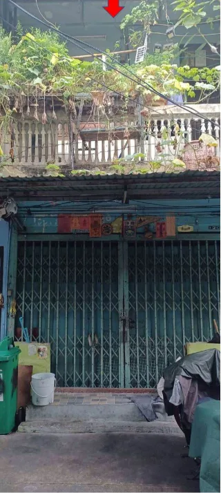 รูปทรัพย์ 1