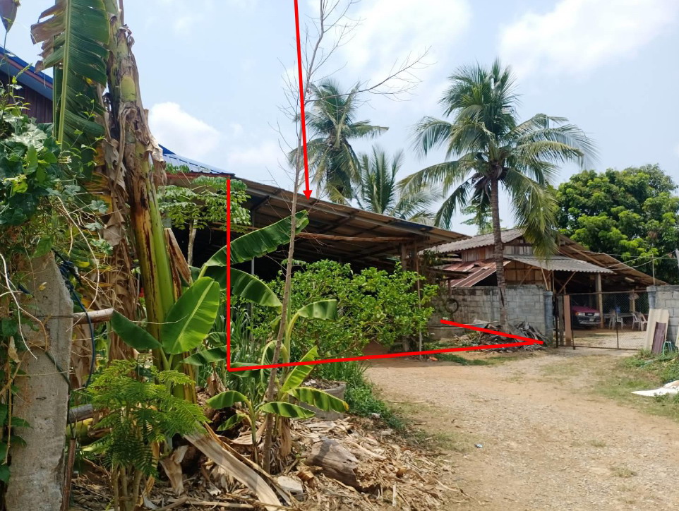 ขายทอดตลาด ที่ดินพร้อมสิ่งปลูกสร้าง ต.ดอนศิลา อ.เวียงชัย จ.เชียงราย