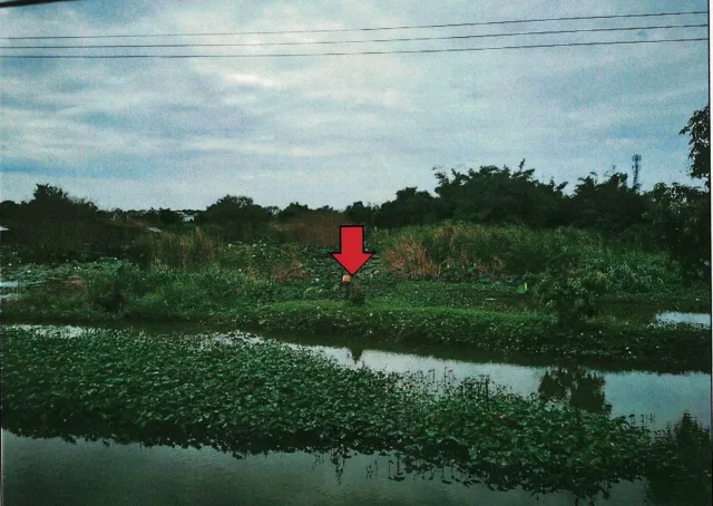 ขายทอดตลาด ที่ดินว่างเปล่า ต.บางโฉลง อ.บางพลี จ.สมุทรปราการ