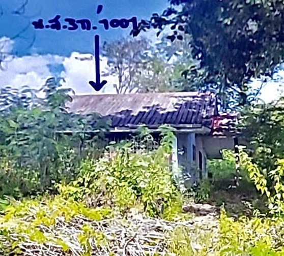 ขายทอดตลาด ที่ดินพร้อมสิ่งปลูกสร้าง ต.หินดาด อ.ทองผาภูมิ จ.กาญจนบุรี