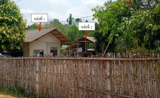 รูปทรัพย์ 2