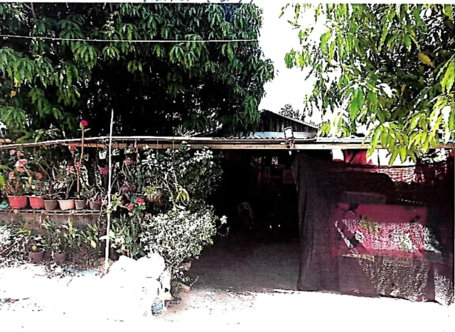 ขายทอดตลาด ที่ดินพร้อมสิ่งปลูกสร้าง ต.ท่าขนุน อ.ทองผาภูมิ จ.กาญจนบุรี