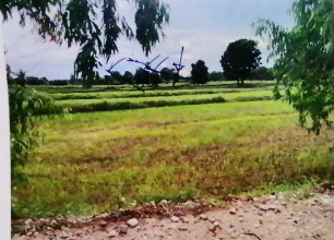 ขายทอดตลาด ที่ดินว่างเปล่า ต.ห้วยบง อ.เมืองชัยภูมิ จ.ชัยภูมิ