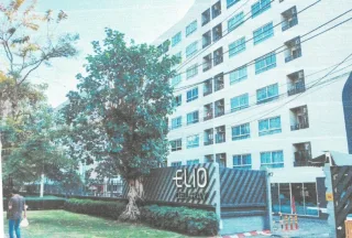รูปทรัพย์ 1