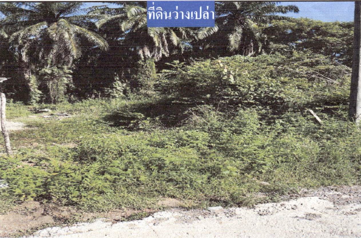 ขายทอดตลาด ที่ดินว่างเปล่า ต.กระบี่น้อย อ.เมืองกระบี่ จ.กระบี่