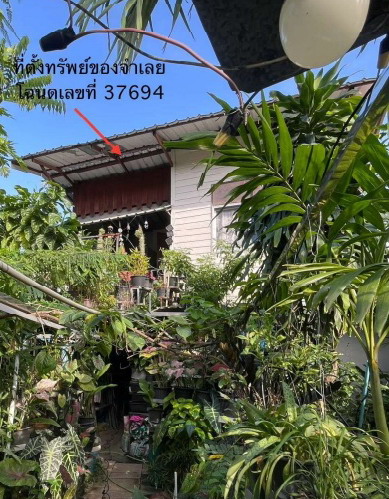 ขายทอดตลาด ที่ดินพร้อมสิ่งปลูกสร้าง แขวงบางนา เขตพระโขนง จ.กรุงเทพมหานคร
