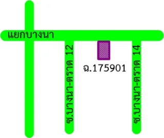 รูปทรัพย์ 2