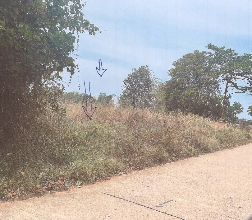 ขายทอดตลาด ที่ดินว่างเปล่า ต.บัวใหญ่ อ.น้ำพอง จ.ขอนแก่น