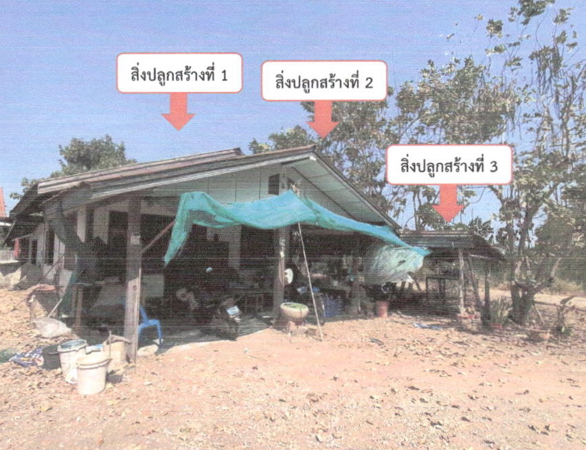 ขายทอดตลาด ที่ดินพร้อมสิ่งปลูกสร้าง ต.หนองบัวใหญ่ อ.จัตุรัส จ.ชัยภูมิ