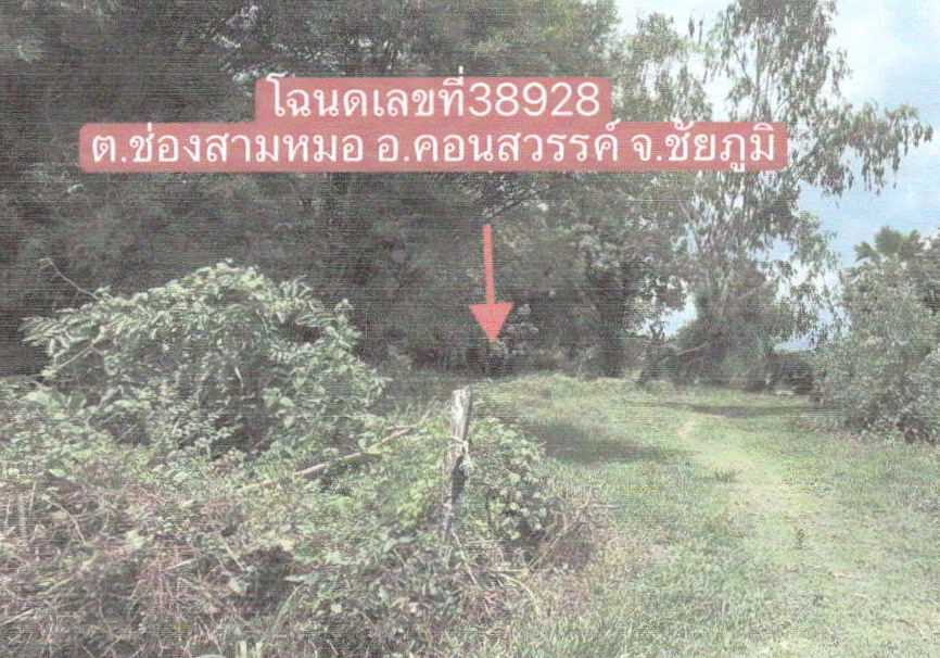 ขายทอดตลาด ที่ดินว่างเปล่า จ.ชัยภูมิ