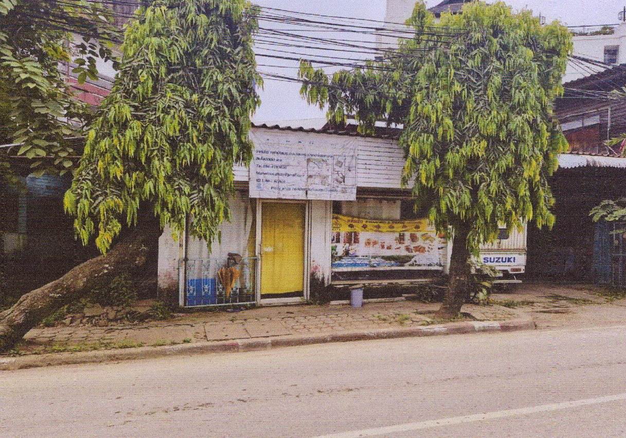 ขายทอดตลาด ที่ดินพร้อมสิ่งปลูกสร้าง ต.เวียง อ.เมืองเชียงราย จ.เชียงราย