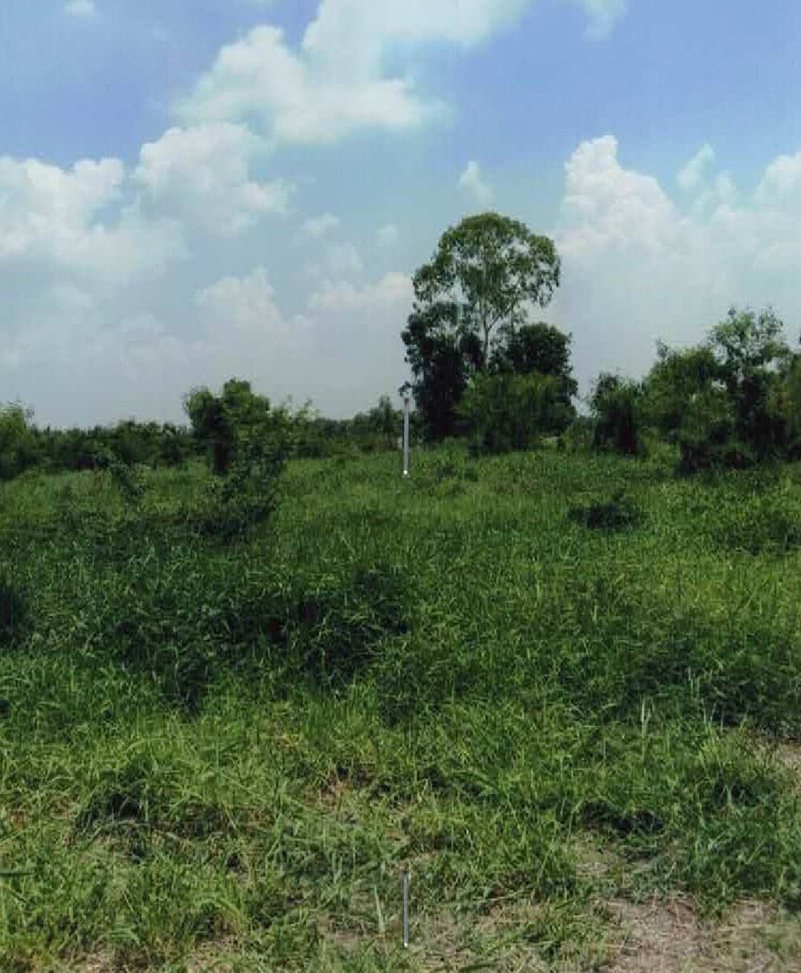 ขายทอดตลาด ที่ดินว่างเปล่า แขวงทรายกองดิน เขตมีนบุรี จ.กรุงเทพมหานคร