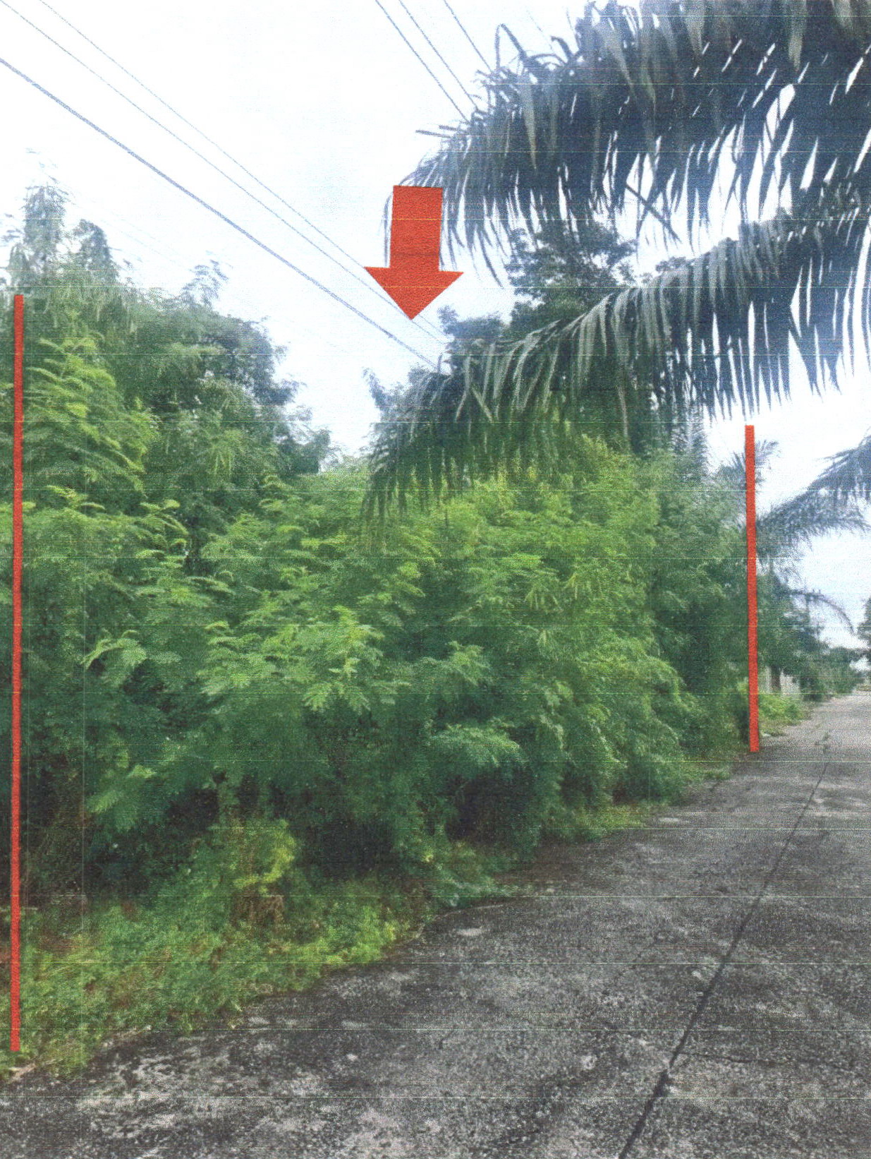 ขายทอดตลาด ที่ดินว่างเปล่า แขวงสามวาตะวันออก เขตมีนบุรี(เมือง) จ.กรุงเทพมหานคร