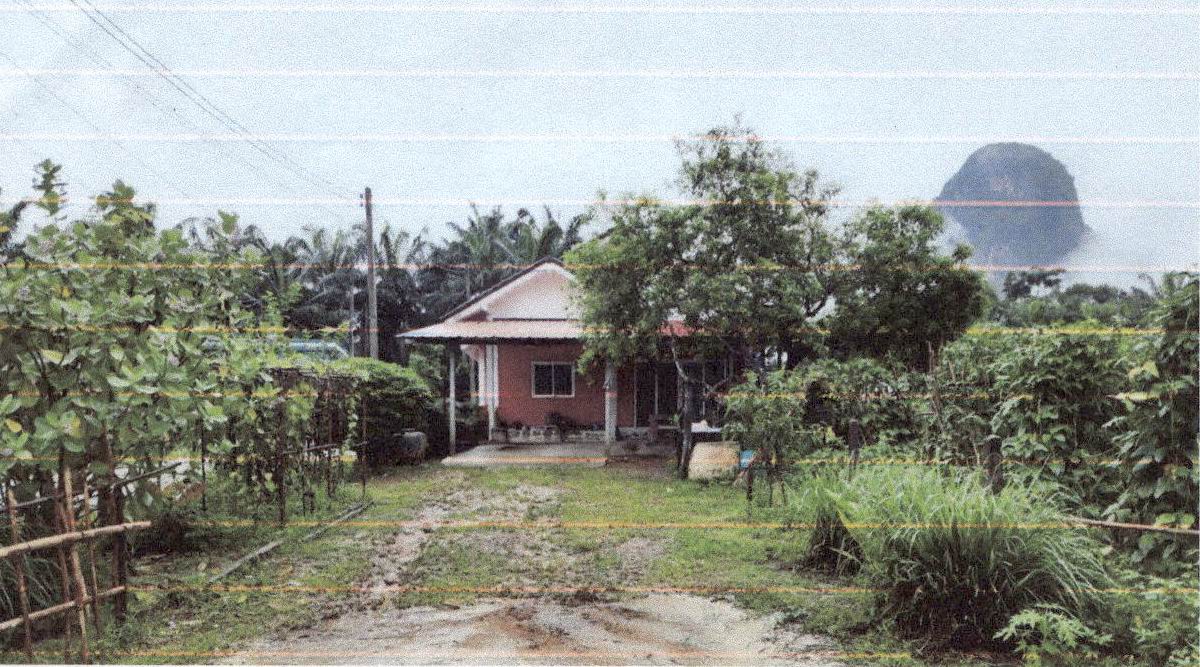 ขายทอดตลาด ที่ดินพร้อมสิ่งปลูกสร้าง ต.หนองทะเล อ.เมืองกระบี่ จ.กระบี่