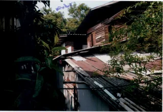 รูปทรัพย์ 1
