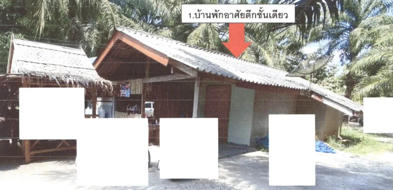 ขายทอดตลาด ที่ดินพร้อมสิ่งปลูกสร้าง ต.ลำทับ อ.ลำทับ จ.กระบี่
