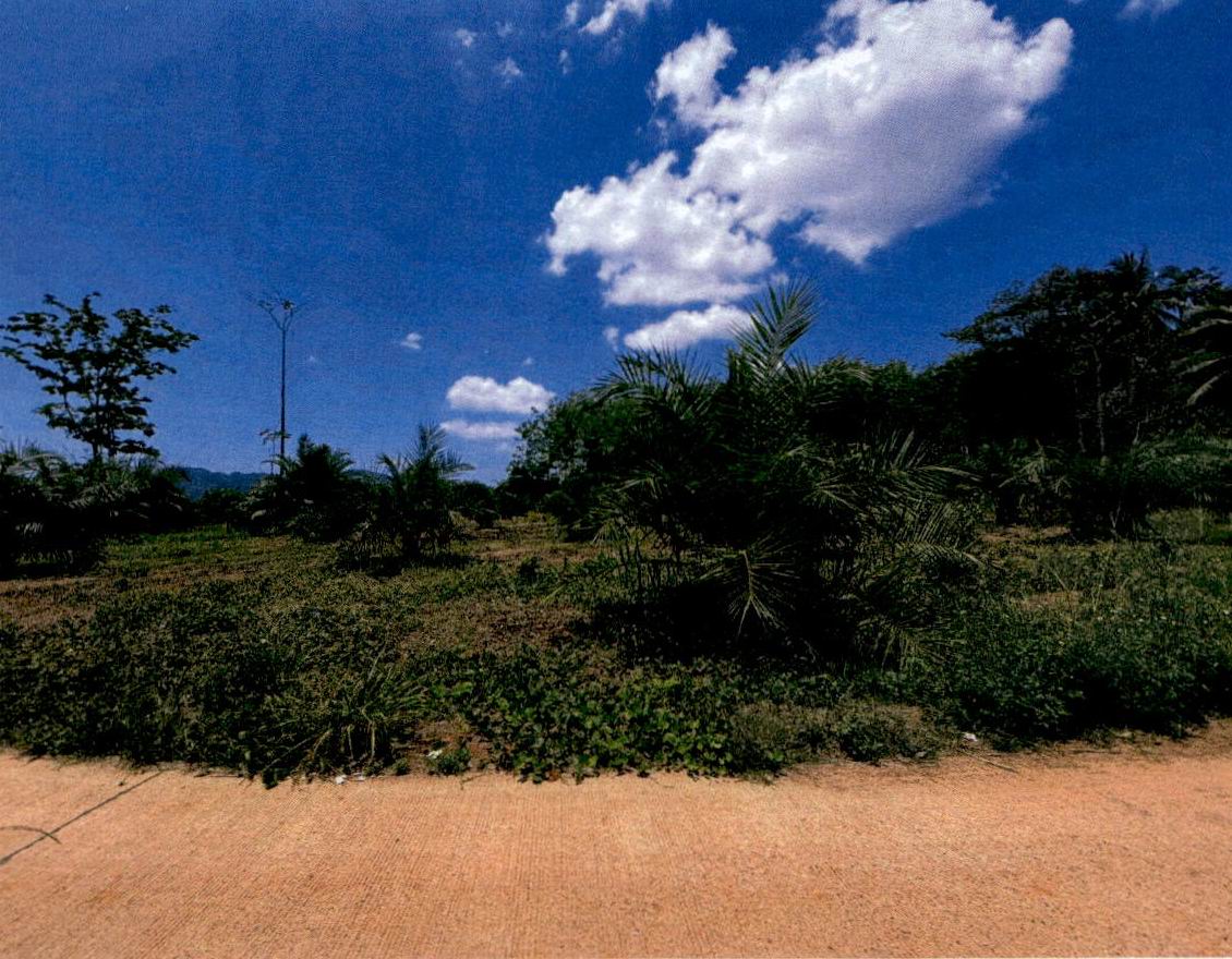 ขายทอดตลาด ที่ดินว่างเปล่า ต.ไสไทย อ.เมืองกระบี่ จ.กระบี่