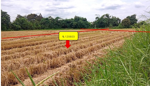 ขายทอดตลาด ที่ดินว่างเปล่า แขวงแสนแสบ เขตมีนบุรี จ.กรุงเทพมหานคร