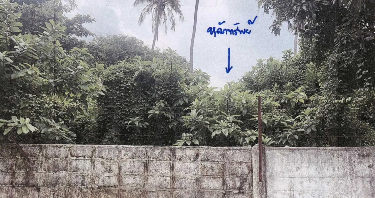 ขายทอดตลาด ที่ดินว่างเปล่า แขวงคลองขวาง เขตภาษีเจริญ จ.กรุงเทพมหานคร
