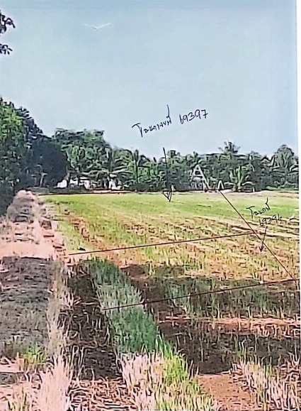 ขายทอดตลาด ที่ดินว่างเปล่า ต.คลองนครเนื่องเขต อ.เมืองฉะเชิงเทรา จ.ฉะเชิงเทรา