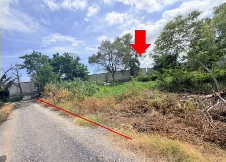 ขายทอดตลาด ที่ดินว่างเปล่า แขวงสามวาตะวันตก เขตมีนบุรี จ.กรุงเทพมหานคร