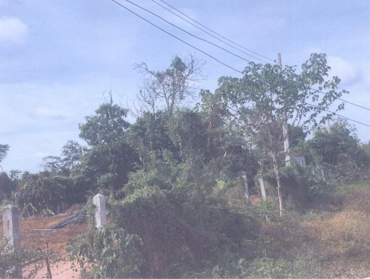ขายทอดตลาด ที่ดินพร้อมสิ่งปลูกสร้าง ต.หนองโดน อ.จัตุรัส จ.ชัยภูมิ