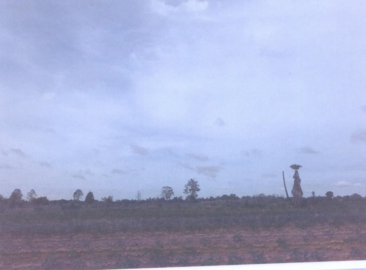 ขายทอดตลาด ที่ดินว่างเปล่า ต.หนองโดน อ.จัตุรัส จ.ชัยภูมิ