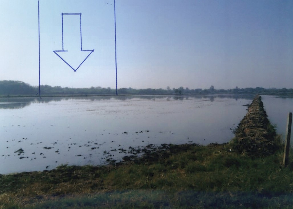 ขายทอดตลาด ที่ดินว่างเปล่า แขวงทรายกองดิน เขตมีนบุรี(เมือง) จ.กรุงเทพมหานคร