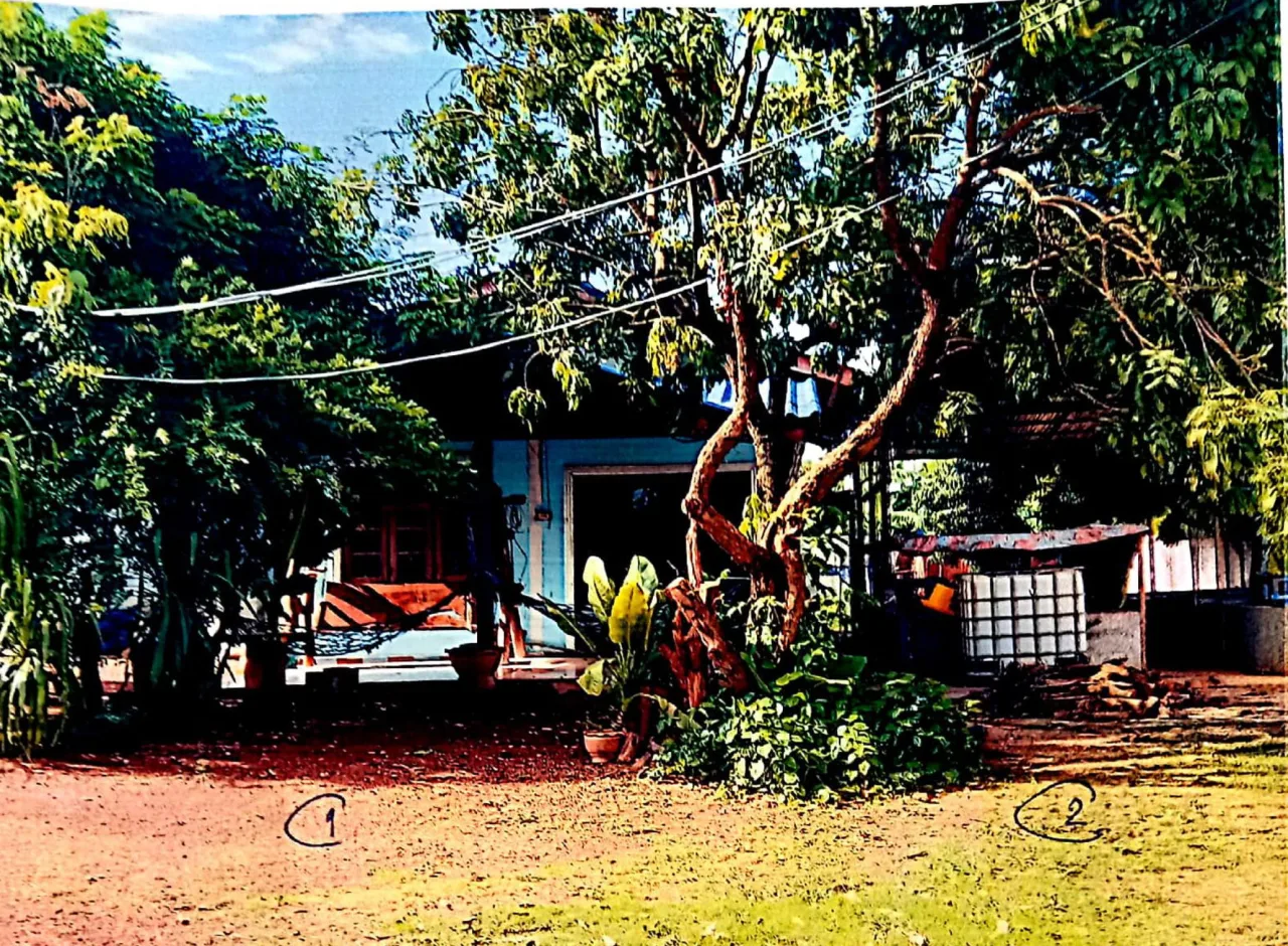 ขายทอดตลาด ที่ดินพร้อมสิ่งปลูกสร้าง ต.โนนสำราญ อ.แก้งสนามนาง จ.นครราชสีมา