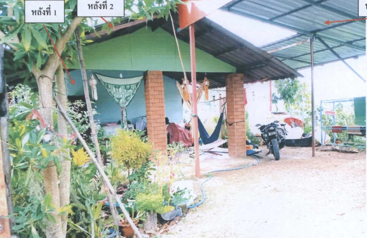 ขายทอดตลาด ที่ดินพร้อมสิ่งปลูกสร้าง ต.ศรีเมืองชุม อ.แม่สาย จ.เชียงราย