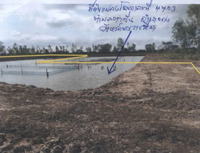 ขายทอดตลาด ที่ดินว่างเปล่า ต.ตาจั่น อ.คง จ.นครราชสีมา
