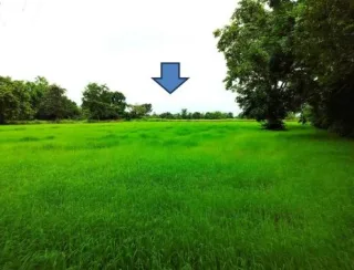 รูปทรัพย์ 2
