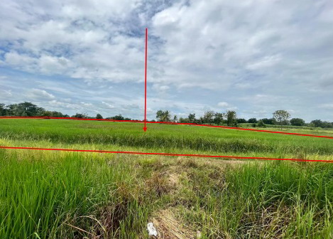 ขายทอดตลาด ที่ดินว่างเปล่า ต.คูขาด อ.คง จ.นครราชสีมา