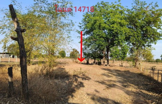 ขายทอดตลาด ที่ดินว่างเปล่า ต.สามเมือง อ.สีดา จ.นครราชสีมา
