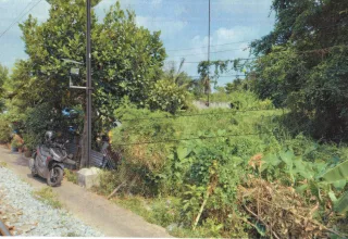 รูปทรัพย์ 1