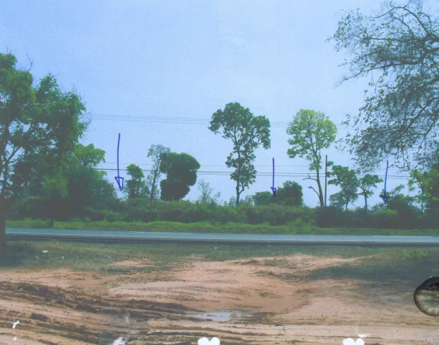 ขายทอดตลาด ที่ดินว่างเปล่า ต.หนองหว้า อ.บัวลาย จ.นครราชสีมา