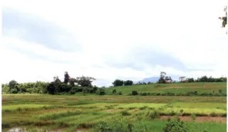 รูปทรัพย์ 1