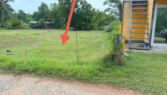 ขายทอดตลาด ที่ดินว่างเปล่า ต.โคกกระเบื้อง อ.บ้านเหลื่อม จ.นครราชสีมา