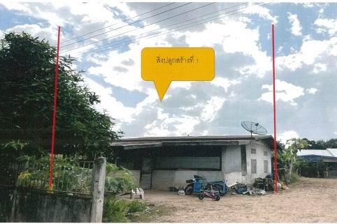 ขายทอดตลาด ที่ดินพร้อมสิ่งปลูกสร้าง ต.เสมาใหญ่ อ.บัวใหญ่ จ.นครราชสีมา