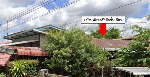 ขายทอดตลาด ที่ดินพร้อมสิ่งปลูกสร้าง ต.หนองมะนาว อ.คง จ.นครราชสีมา