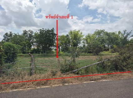 ขายทอดตลาด ที่ดินว่างเปล่า จ.นครราชสีมา