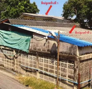 รูปทรัพย์ 1
