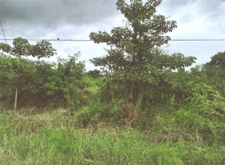 ขายทอดตลาด ที่ดินว่างเปล่า ต.สวนหม่อน อ.มัญจาคีรี จ.ขอนแก่น