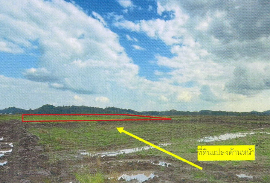 ขายทอดตลาด ที่ดินว่างเปล่า ต.ดอยลาน อ.เมืองเชียงราย จ.เชียงราย