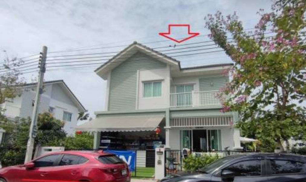 ขายทอดตลาด ที่ดินพร้อมสิ่งปลูกสร้าง แขวงท่าข้าม เขตบางขุนเทียน จ.กรุงเทพมหานคร