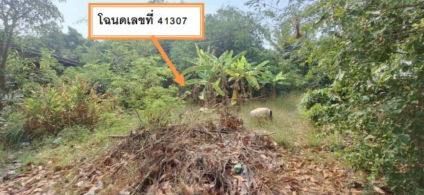 ขายทอดตลาด ที่ดินว่างเปล่า แขวงขุมทอง เขตลาดกระบัง จ.กรุงเทพมหานคร