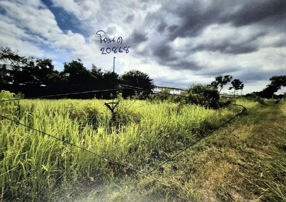 ขายทอดตลาด ที่ดินว่างเปล่า แขวงทรายกองดิน เขตมีนบุรี (เมือง) จ.กรุงเทพมหานคร