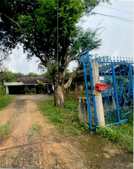 ขายทอดตลาด ที่ดินพร้อมสิ่งปลูกสร้าง ต.แปลงยาว อ.แปลงยาว จ.ฉะเชิงเทรา