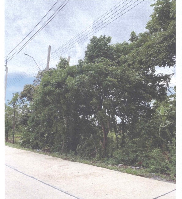 ขายทอดตลาด ที่ดินว่างเปล่า แขวงคลองสิบสอง(คลองสิบสาม) เขตหนองจอก จ.กรุงเทพมหานคร