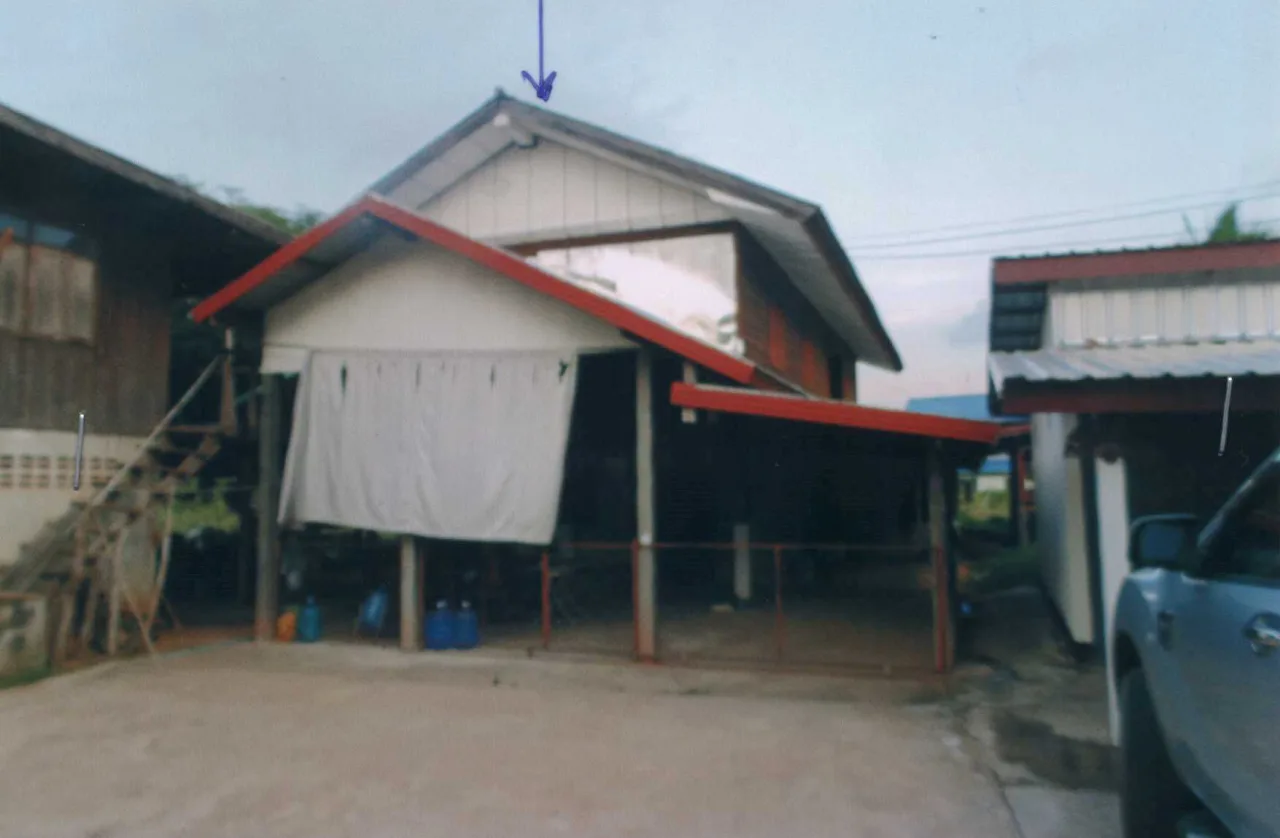 ขายทอดตลาด ที่ดินพร้อมสิ่งปลูกสร้าง ต.สายนาวัง อ.นาคู จ.กาฬสินธุ์